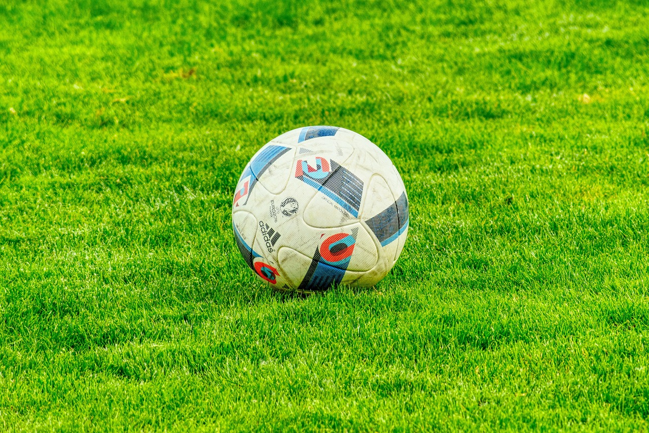 football, grass, ball-2778583.jpg